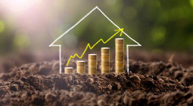 Money growing in soil with house , success concept.
